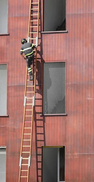 Firefighter in action on the wooden ladder — Stock Photo, Image