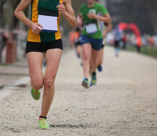 Atletas que participam de uma corrida cross-country — Fotografia de Stock