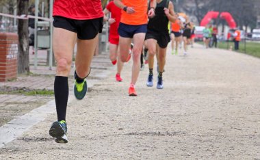 Maraton yarışı sırasında koşucular