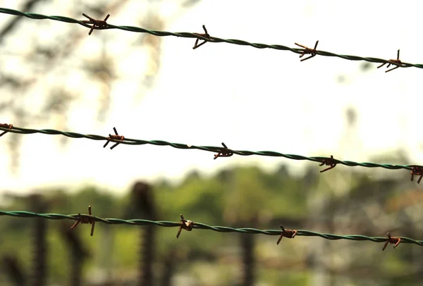 Alambre de púas en la frontera — Foto de Stock