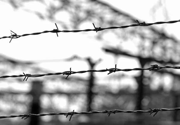 Fond noir et blanc de clôture en fil de fer barbelé — Photo