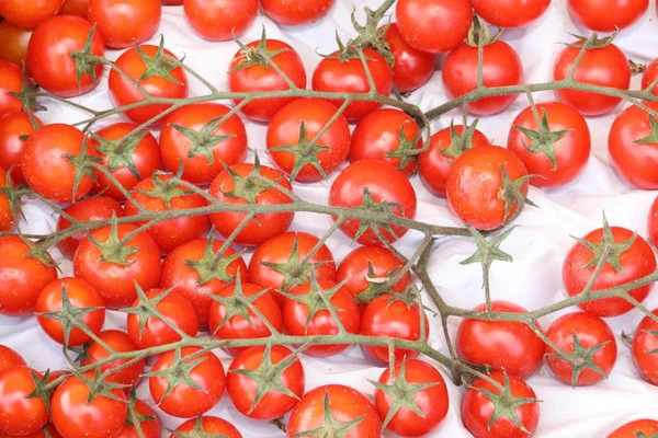 Viele rote reife Tomaten — Stockfoto