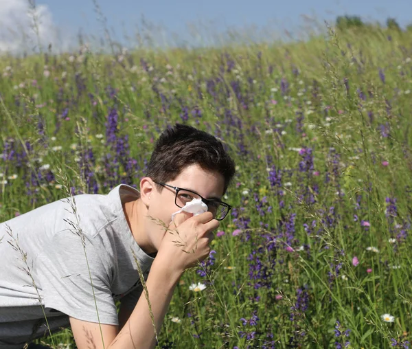 Young boy with glasses in the meadows with allergy — Stock Photo, Image
