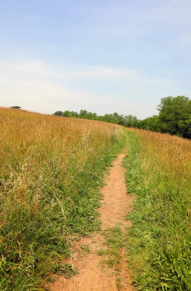 Weg in die Wiese — Stockfoto