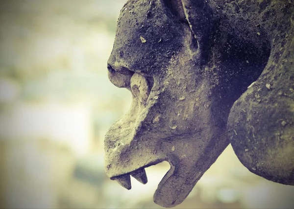 Detail of the monstrous statue called Gorgolla in the cathedral — Stock Photo, Image