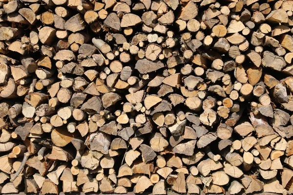 Background of many wooden logs in the woodshed — Stock Photo, Image