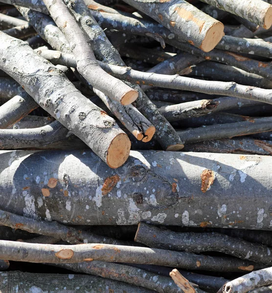 Holzstämme geschnitten, um als Brennstoff verwendet werden, um Berghäuser zu heizen während c — Stockfoto