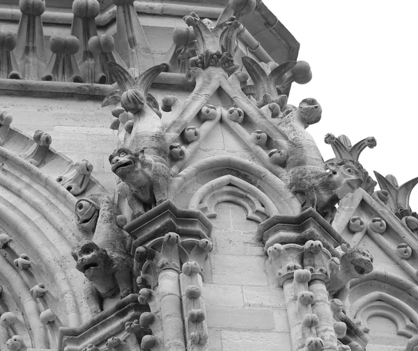 Detail of gargoyle of Basilica of Notre Dame in Paris France — Stock Photo, Image