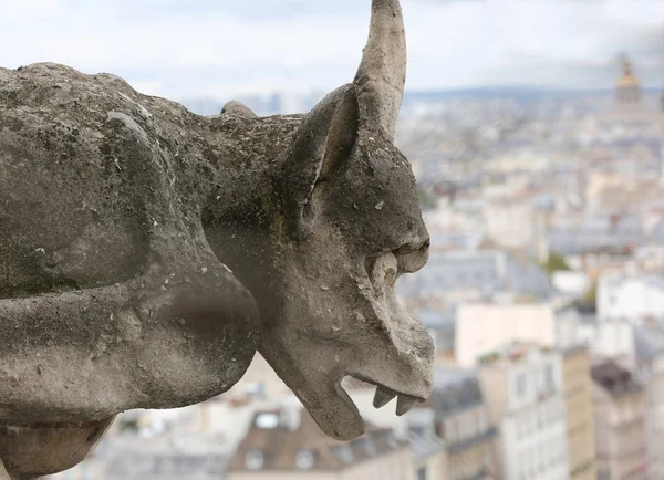 Uma grande gárgula de Notre Dame, a Paris, na França — Fotografia de Stock