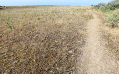 maquis çalılıkta yol