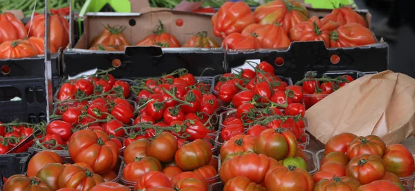 Market kırmızı olgun domates — Stok fotoğraf