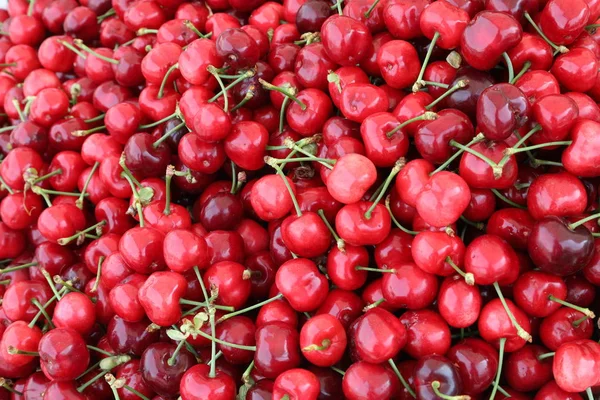 Fondo de muchas cerezas — Foto de Stock