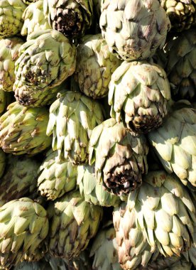 satılık alınan taze enginar arka plan