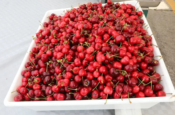 Grand plateau plein de cerises mûres rouges — Photo