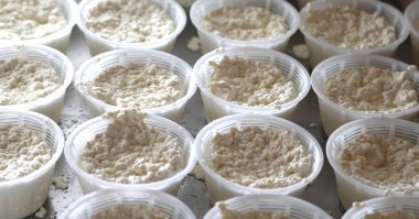 İtalyanca dilinde ricotta denilen taze peynir