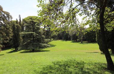 geniş yeşil bahçe