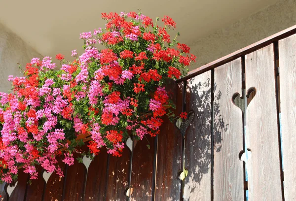 Balcon cu multe ghivece de geranium — Fotografie, imagine de stoc