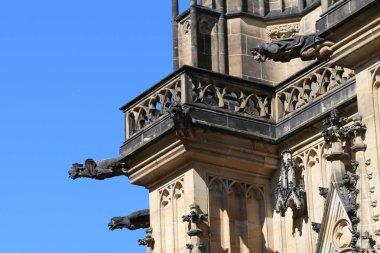 Prag Avrupa'da aziz vitus katedrali