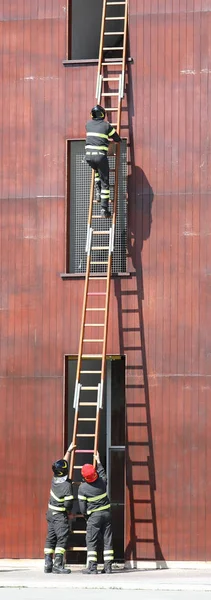 Trois pompiers à la caserne — Photo