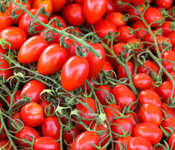 Hintergrund vieler roter reifer Kirschtomaten — Stockfoto