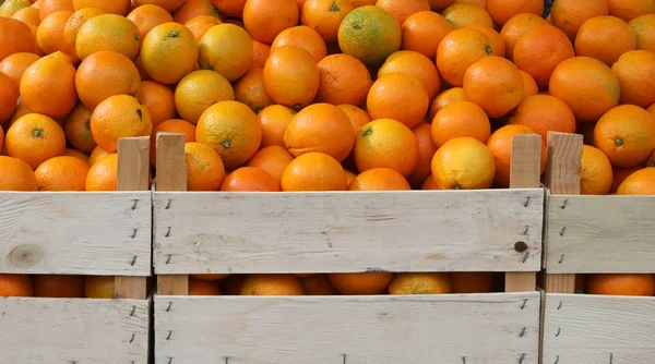 Много коробок апельсинов для продажи на рынке — стоковое фото