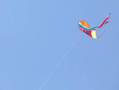 renkli uçurtma gökyüzünde yüksek uçar