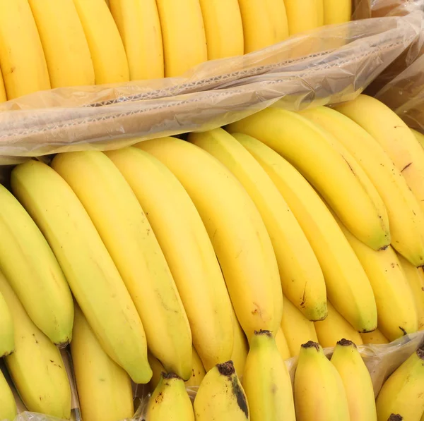 Full box of yellow organic bananas — Stock Photo, Image