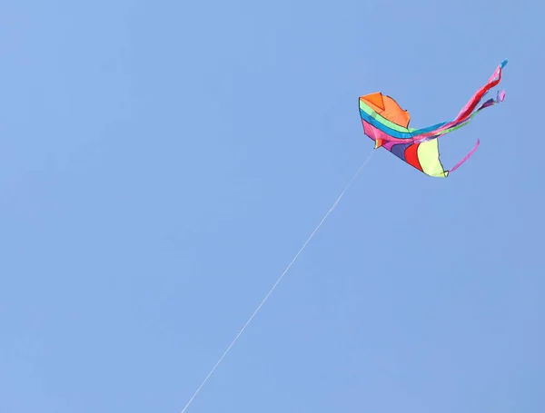 Renkli uçurtma gökyüzünde yüksek uçar — Stok fotoğraf