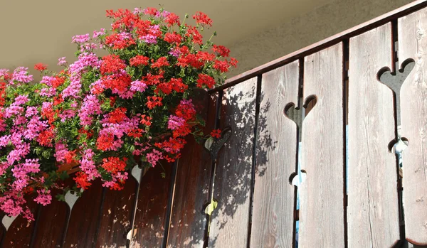 Balkon z wieloma doniczkami z pelargonie — Zdjęcie stockowe