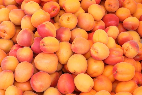 Bakgrund av mogna orange aprikoser — Stockfoto