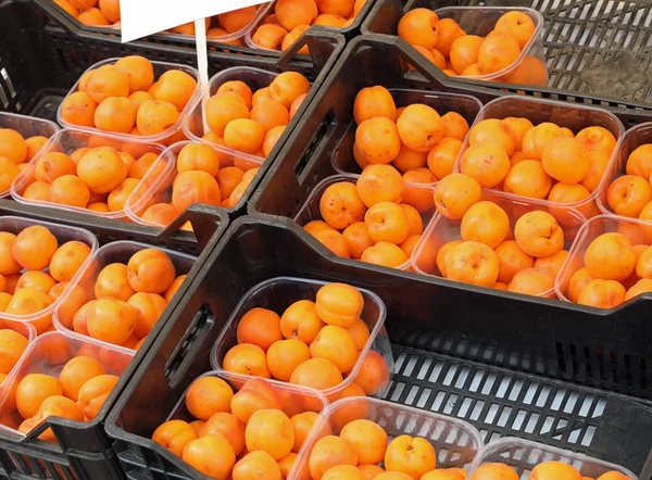 Коробки абрикосов — стоковое фото