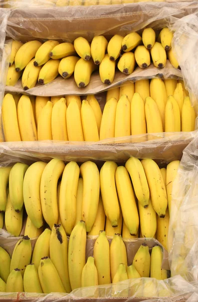 Багато жовтих бананів для продажу на ринку — стокове фото