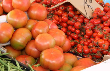 Satılık kırmızı olgun domates