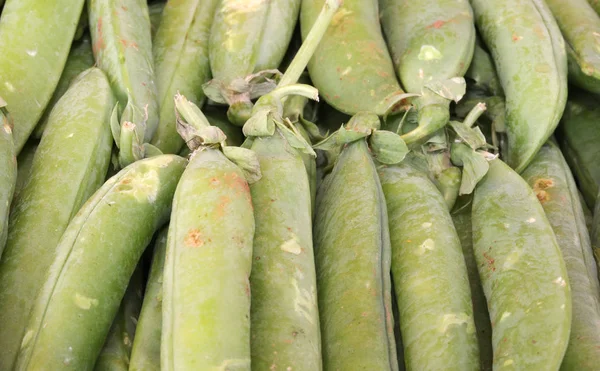 Achtergrond van groene erwten — Stockfoto