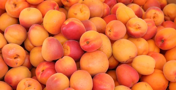 Fondo de albaricoques naranjas maduros para la venta — Foto de Stock