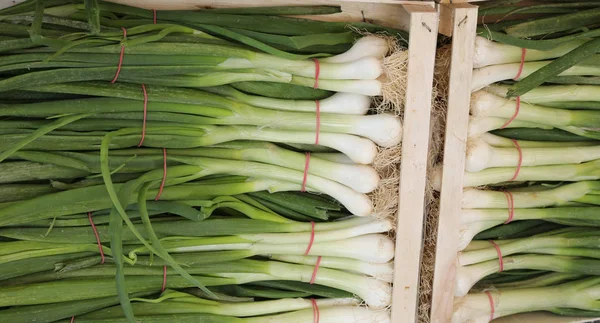 Boîtes d'oignons frais à vendre — Photo