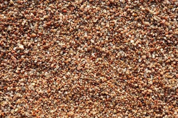 多くの小さな石を持つビーチの詳細 — ストック写真
