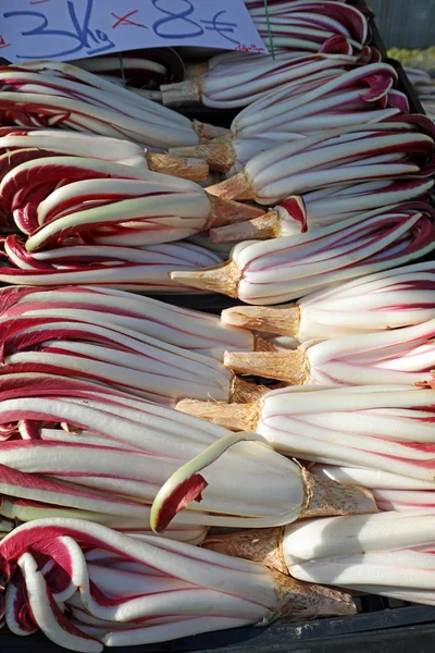 Kırmızı hindiba İtalyanca dilinde Radicchio Tarddivo denilen ve th — Stok fotoğraf