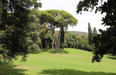 büyük ağaçlar ile Avrupa'da geniş bahçe