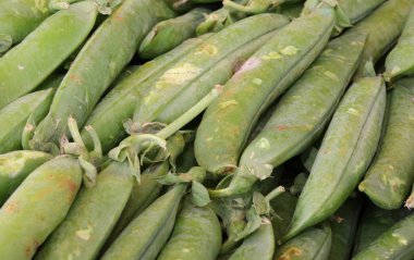 organik yeşil bezelye