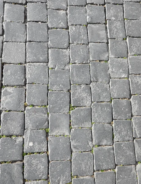 F azulejos cinza chamado em italiano Sampietrini piso típico em Sain — Fotografia de Stock