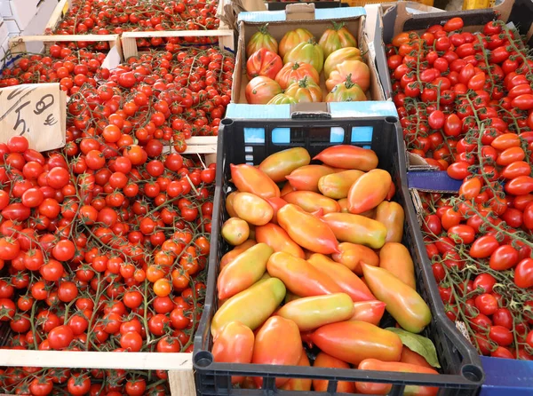 Boxes of red tomatoes — Stock Photo, Image