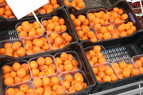 Спелые абрикосы в коробках в магазине — стоковое фото