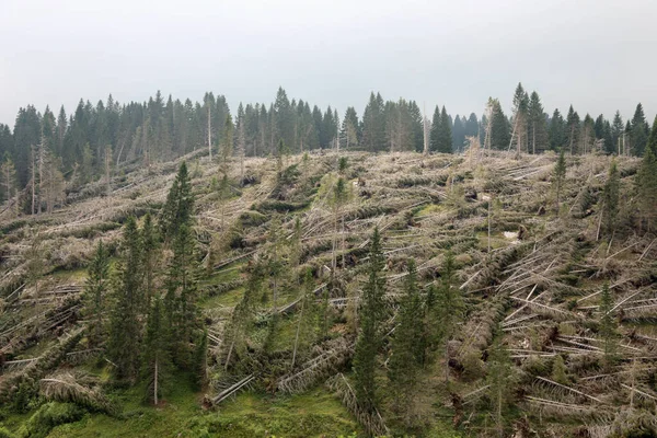 Korkunç fırtınadan sonra ağaçsız dağ — Stok fotoğraf