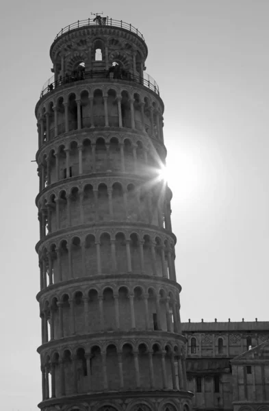 Siyah beyaz efektli Pisa Kulesi — Stok fotoğraf