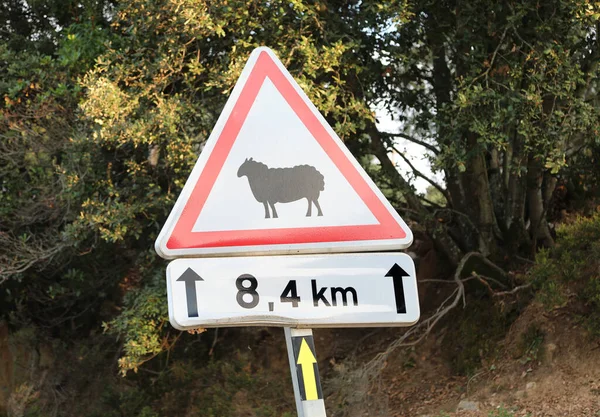 Road sign with shape of sheep