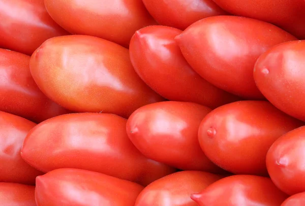 Arka plan kırmızı domates — Stok fotoğraf