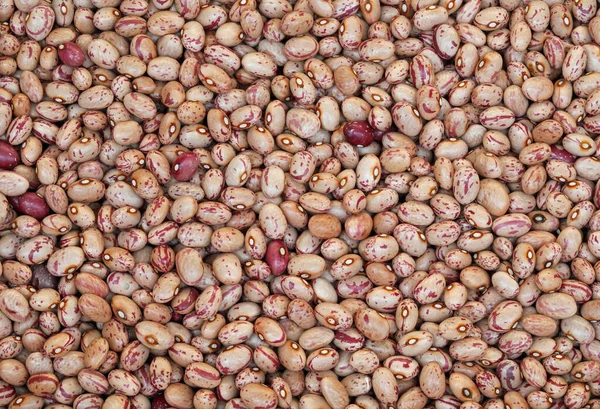 많은 말린된 콩의 배경 — 스톡 사진