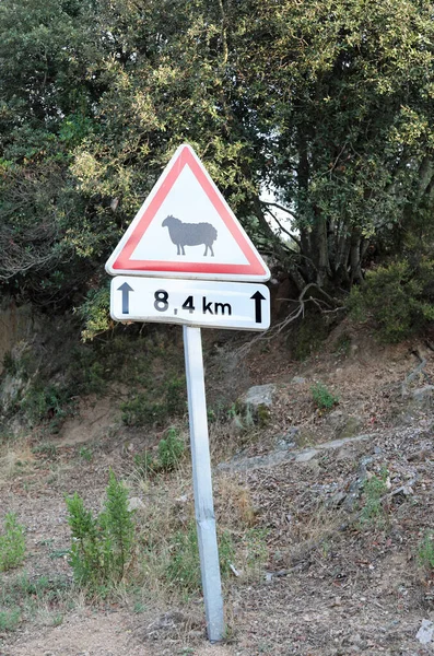 Znak drogowy z kształtem owiec na drodze — Zdjęcie stockowe