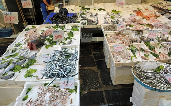 Mercado italiano de pescado — Foto de Stock